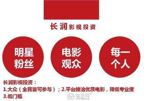 IP的分类与投资管理策略